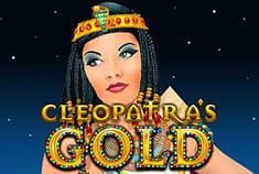 Icebet game-thumb